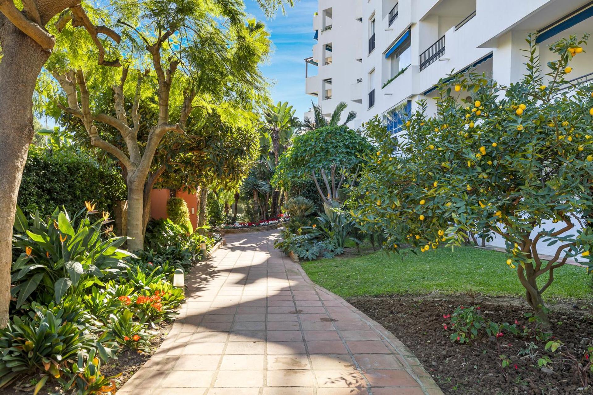 Charming And Spacious Apartment In Medina Garden - Puerto Banus 마르베야 외부 사진